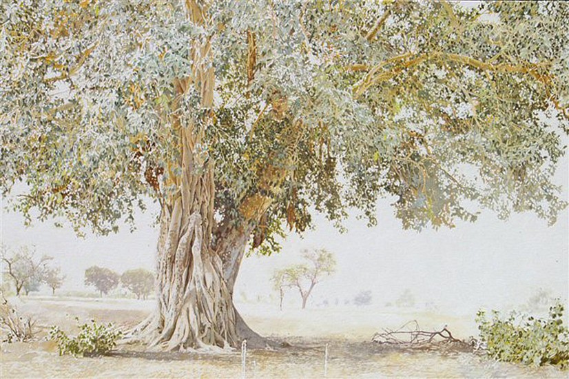 LEIGH VOIGT, TERIYA BUGU FIG
2009, OIL ON CANVAS