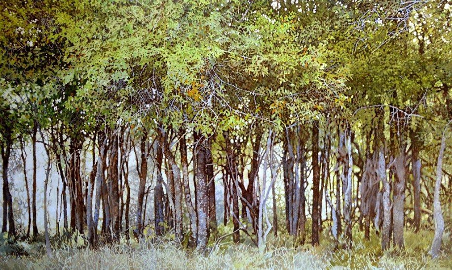 LEIGH VOIGT, TAMBOETI GROVE
OIL ON CANVAS