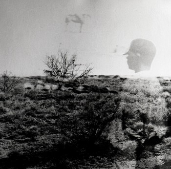 Man with horse high res