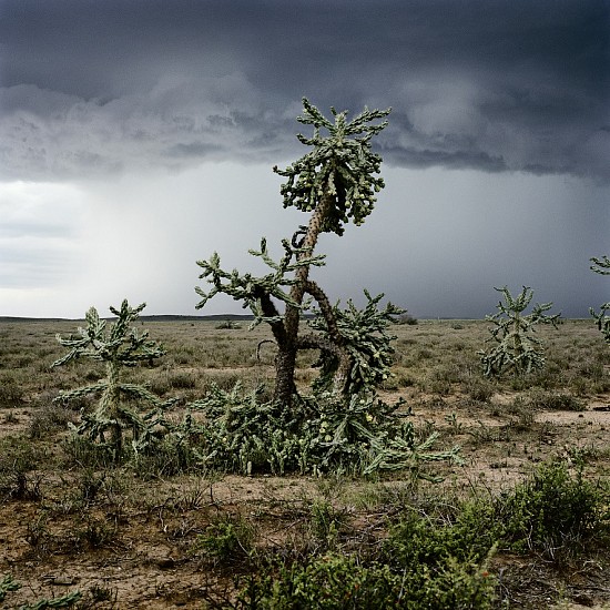 DANIEL NAUDÉ, STORM APPROACHING ABERDEEN. EASTERN CAPE, 3 MARCH 2010
2010, C-PRINT