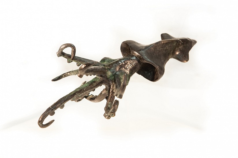 DAVID J. BROWN, SQUID ED. 1/9
BRONZE