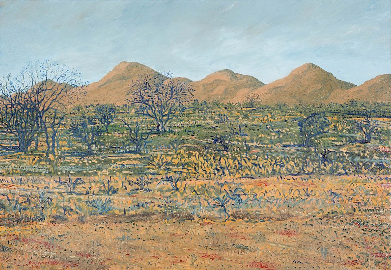 BRUCE BACKHOUSE, Kameeldoring and Korrannaberg,Tswalu
2019, OIL  ON CANVAS