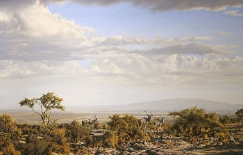 Esimingore2500 (002)