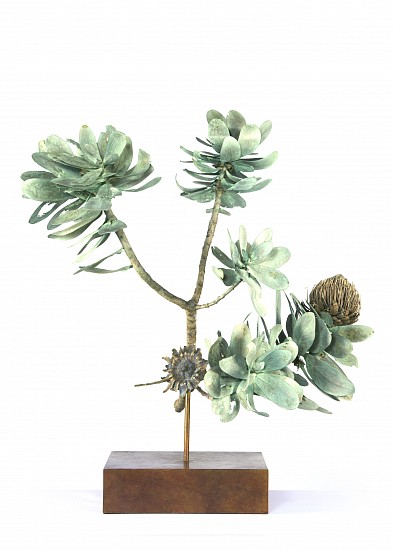 NIC BLADEN, PROTEA NITIDA BRANCH
BRONZE