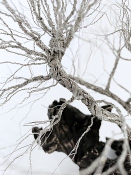 Armstrong, beth. detail 3IMG