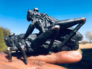 Mashilo, Setlamorago. Opulent and Starving