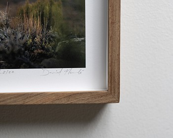 Naude, Daniel. TINY FRAME 2 DFN3452 detail