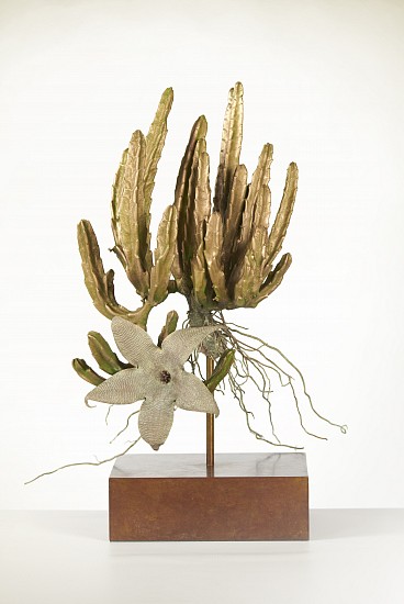 NIC BLADEN, STAPELIA GIGANTEA
2020, BRONZE