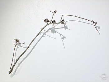 D57B1D54 BB4E 4708 93B2 56DA5096FF8A 003