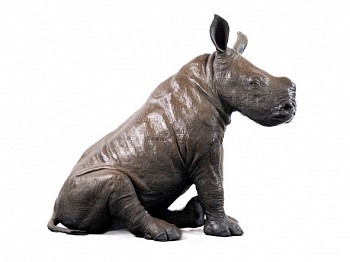 RHINO ERG PROMO OCT2022