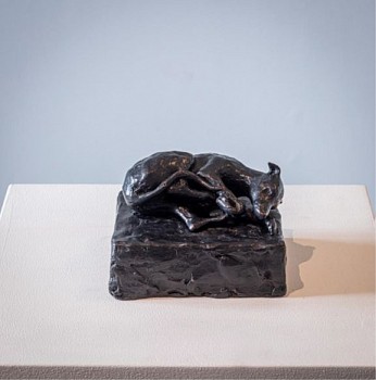nicola bailey mouse