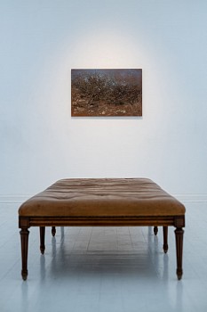 DSCF0179