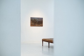 DSCF0225