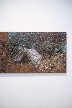 DSCF0240