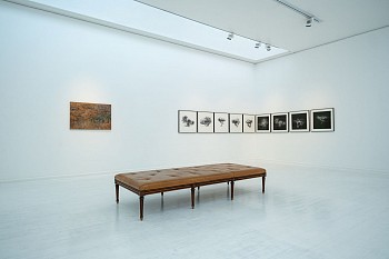 DSCF0110