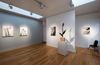 CC 23 03 2023 BITCHESBREW