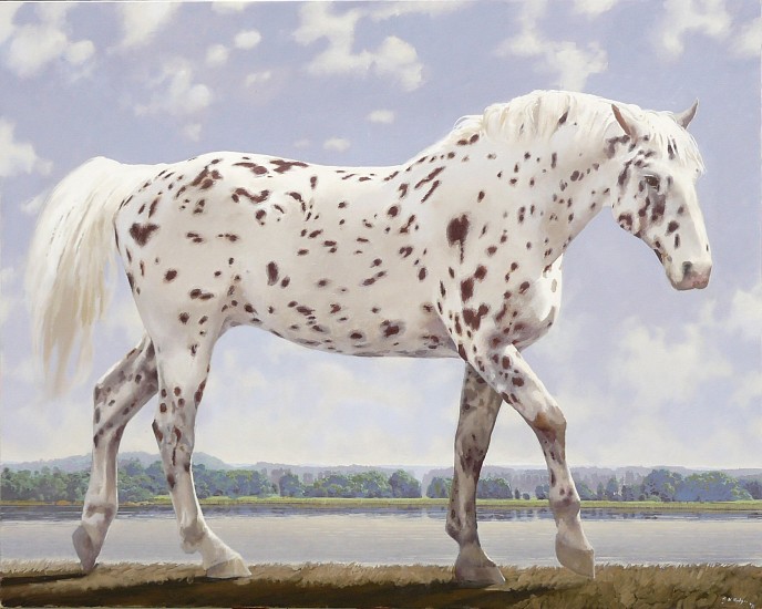 NEIL RODGER, KNABSTRUP FILLY
OIL ON CANVAS