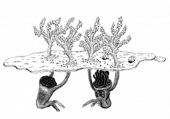 leanÃƒÂ´ la polaÃƒÂ´ Ã¢â‚¬Ëœunderhanded preying