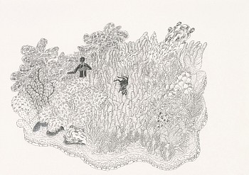 sekgwa se se kitlaneng