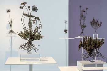 NIC BLADEN 31 07 2023 SET2