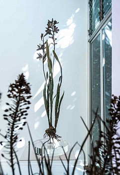 NIC BLADEN 31 07 2023 SET2