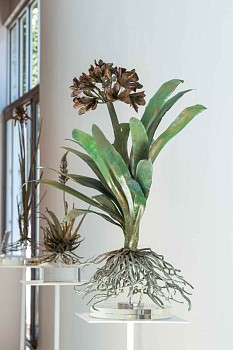 NIC BLADEN 31 07 2023 SET2