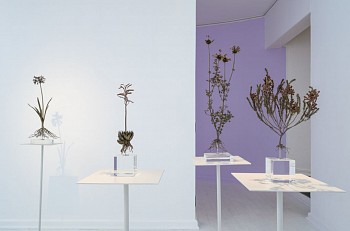 NIC BLADEN 31 07 2023 SET2