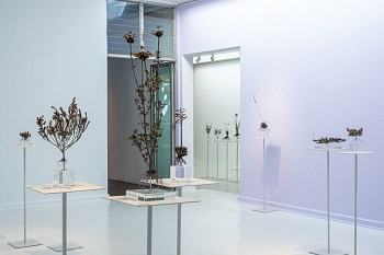 NIC BLADEN 31 07 2023 SET2