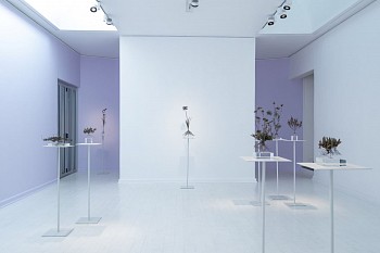 NIC BLADEN 31 07 2023