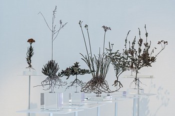 NIC BLADEN 31 07 2023