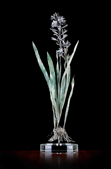 NIC BLADEN, WATSONIA MERIANA
BRONZE