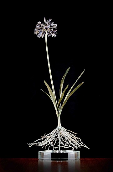 NIC BLADEN, AGAPANTHUS I
BRONZE