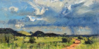 olifantshoek plains thornveld with raincloud tswalu 80cm x 160cm oil on canvas