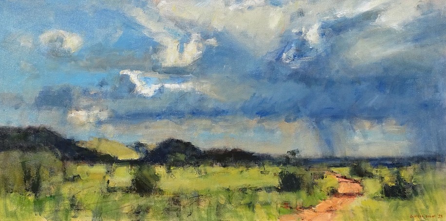 WALTER VOIGT, OLIFANTHOEK PLAINS THORNVELD WITH RAINCLOUD, TSWALU
OIL  ON CANVAS