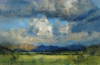 shadows on the thornveld plains tswalu 60cm x 92cm oil on canvas