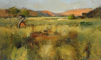tswalu grassveld with camelthorn 60cm x 100cm oil on canvas