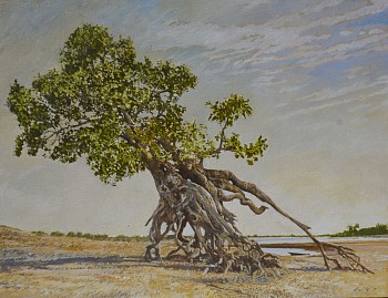 4. resilience. fig tree. niger river mali. oil on canvas 100 x 130 cm d