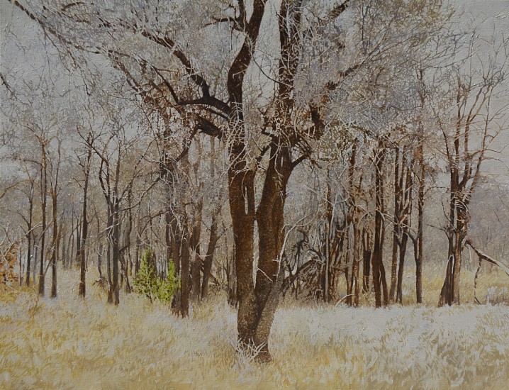 LEIGH VOIGT, TAMBOTI GROVE IN WINTER
2024, OIL  ON CANVAS