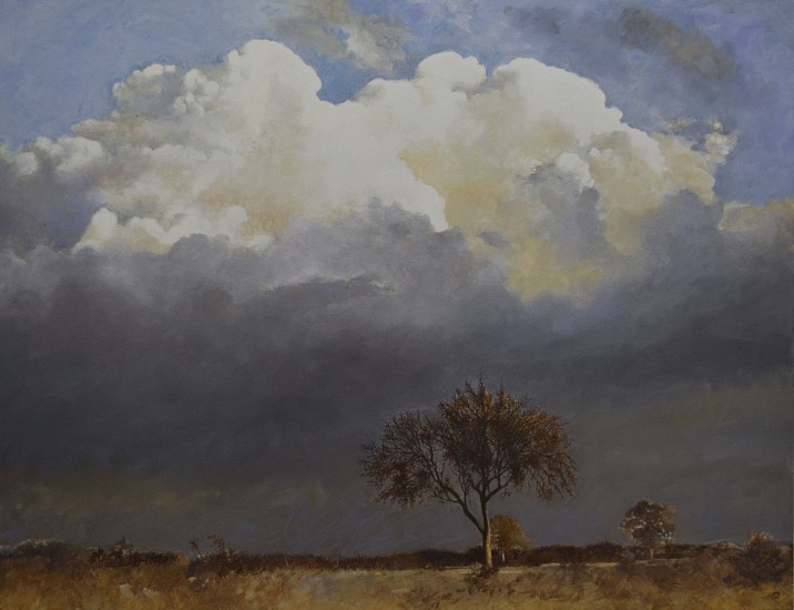 LEIGH VOIGT, STORM CLOUD
2024, OIL  ON CANVAS