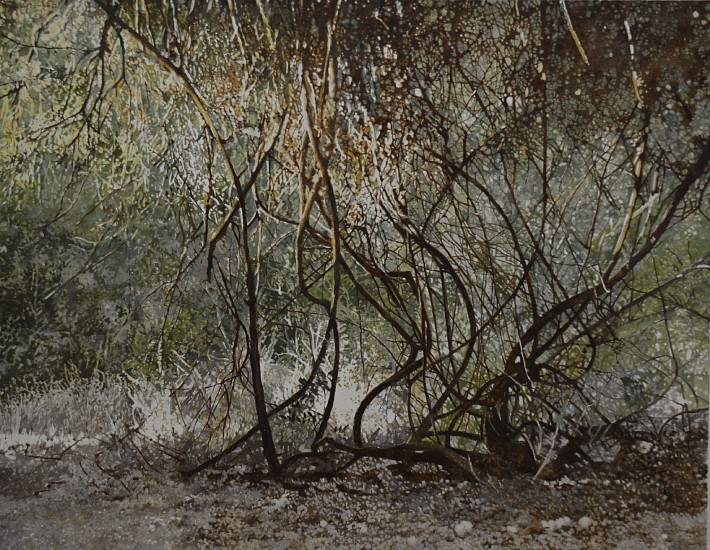 LEIGH VOIGT, RIVERINE VINES
2024, OIL  ON CANVAS