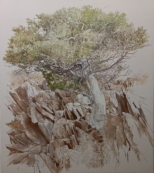 14. boscia on the rocks. oil on canvas 180 x 160 cm. r480