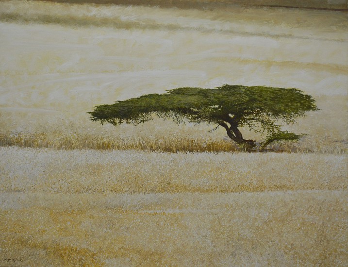 LEIGH VOIGT, ACACIA IN WHEATFIELD ETHIOPIA
2024, OIL  ON CANVAS