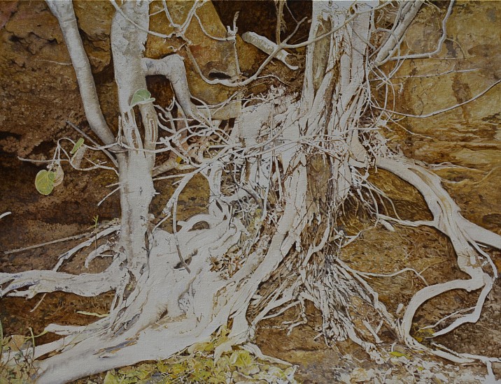 LEIGH VOIGT, FIG ROOTS
2024, OIL  ON CANVAS