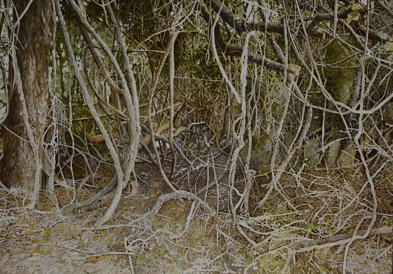 LEIGH VOIGT, VINES AND LIANAS ALONG THE BANKS OF THE KEURBOOMS RIVER
2024, OIL  ON CANVAS