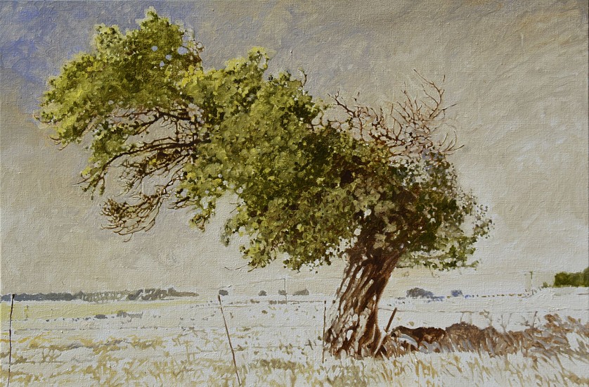 LEIGH VOIGT, WENDY`S TREE, ERMELO
2024, OIL ON CANVAS