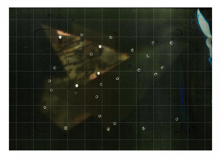 NEIL LOWE, TAXONOMOMANIA – PROCESS
2024, ARCHIVAL MATTE INKJET PRINT ON AWAGAMA KOZO (MULBERRY) TRADITIONAL FIBRE PAPER