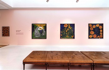 lady skollie exhibit