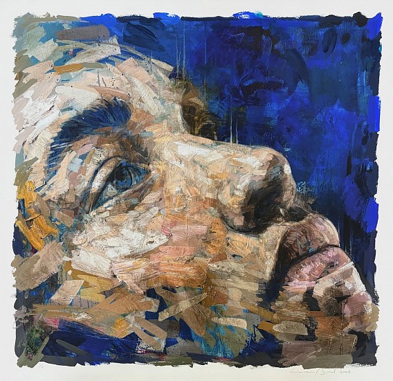 LIONEL SMIT, APPROACH
GICLÉE PRINT ON ARCHIVAL PAPER HAND FINISHED BY ARTIST