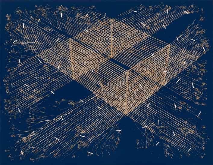 GERHARD MARX, A WOVEN PLACE 1
2025, PLANT MATERIAL, TISSUE PAPER AND ACRYLIC GROUND ON COTTON AND ALUMINIUM
