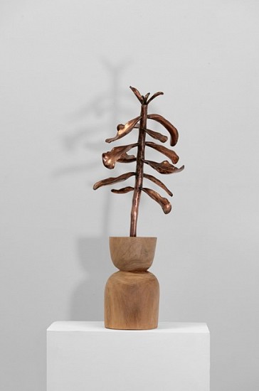 SANELL AGGENBACH, FOREIGN BODIES
2023, CAMPHOR WOOD, METAL, RESIN